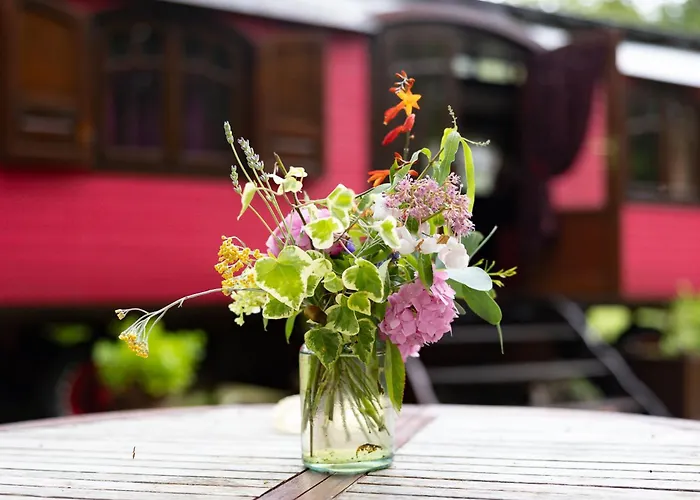 La Roulotte D'alany * Grayan-et-l'Hopital